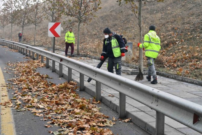 Ankara Büyükşehir Belediyesi ekipleri cadde ve sokakları yapraklardan temizliyor