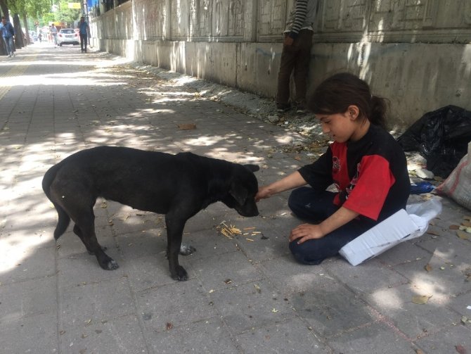 Kağıtçı küçük kız yiyeceğini sokak köpeğiyle paylaştı