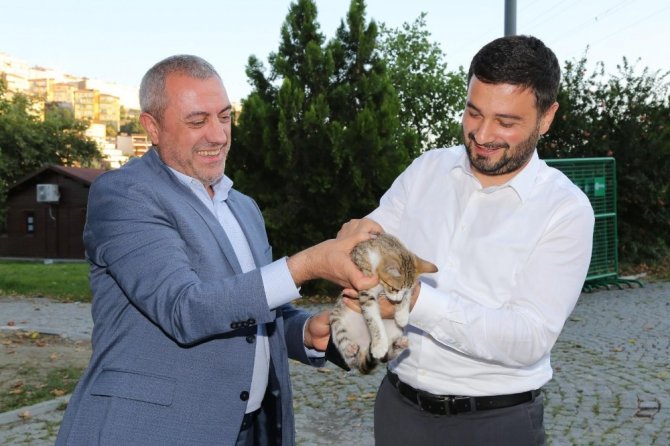 Sokak hayvanları için belediye ve vatandaş el ele verdi