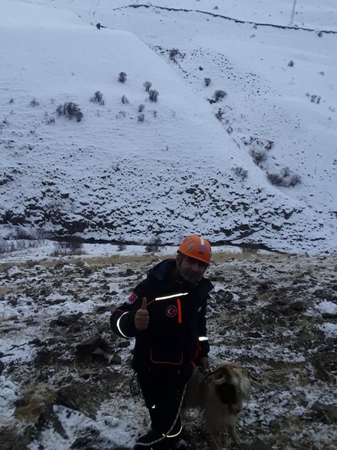Kayalıklarda mahsur kalan keçiyi AFAD kurtardı