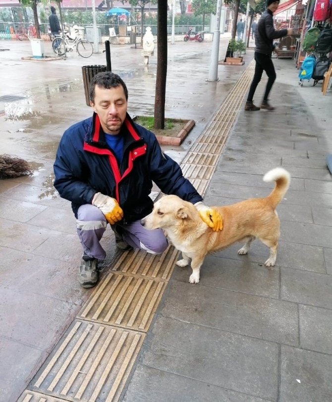 Sokak köpeğini çalı süpürgesiyle kaşıdı taktir kazandı