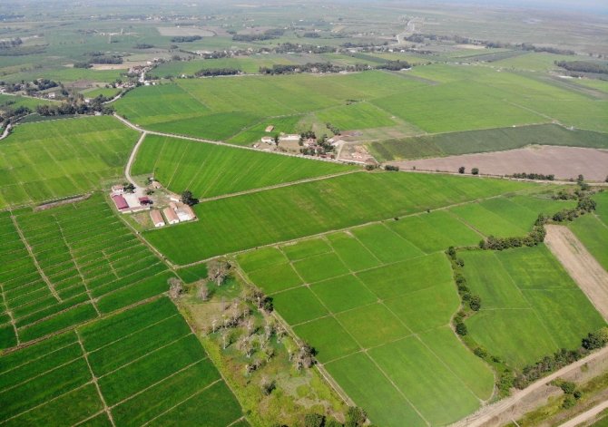 DSİ 4 ilde 14 bin hektar alanda arazi toplulaştırdı
