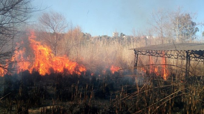 Antalya’da sazlık yangını