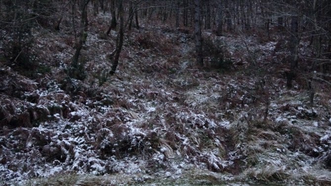 İstanbul’da kar yağdı, Aydos Ormanı beyaz örtüyle kaplandı