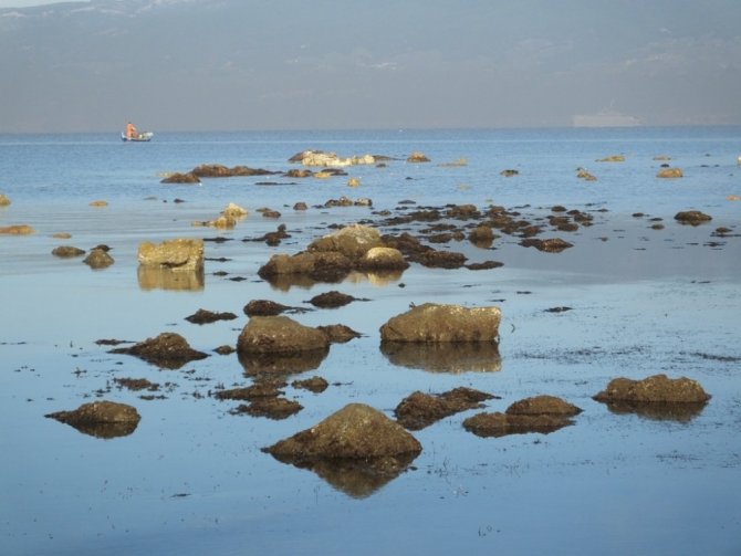 Burhaniye’de deniz çekildi, 2 bin 500 yıllık liman ortaya çıktı