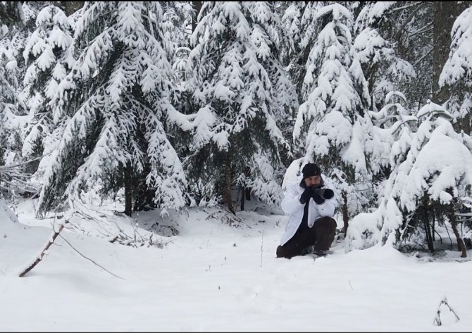 Karla kaplı ormanda drone ile geyikleri böyle görüntülediler