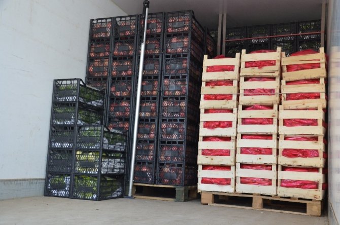 BAİB öncülüğünde depremzedelere 40 tonun üzerinde meyve-sebze gönderildi