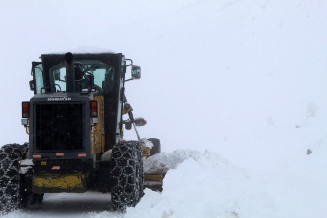Bingöl’de kar 254 köy yolunu ulaşıma kapattı