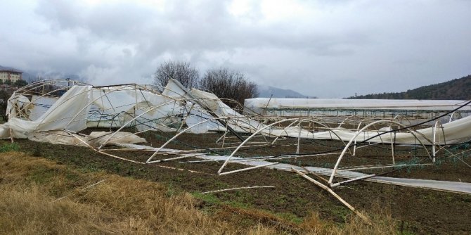 Şiddetli rüzgâr ve yağmurdan toplam 220 sera hasar gördü