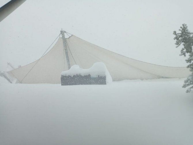 Arhavi’de pazar yerinden sonra festival çadırı da çatıda biriken kar nedeniyle çöktü