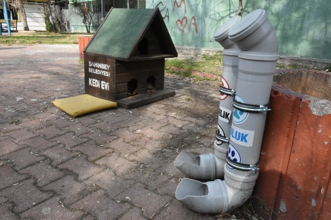 Şahinbey Belediyesi sokak hayvanlarına sahip çıkıyor