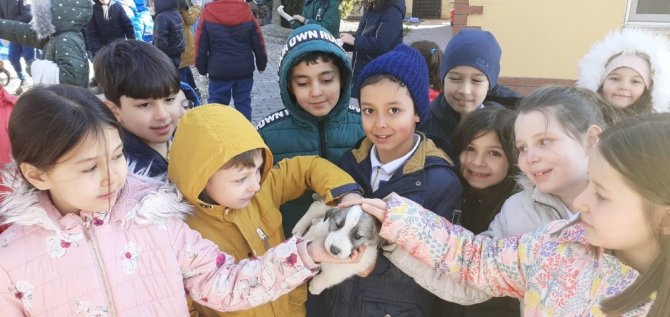 Çocuklar hayvan barınağını ziyaret etti