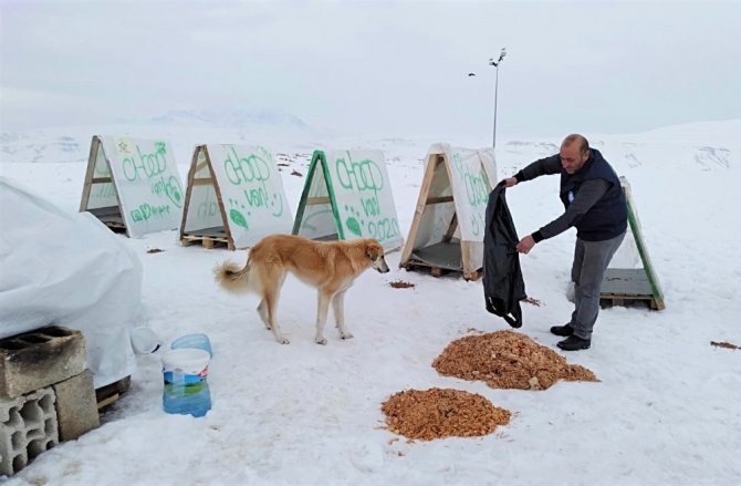 Edremit Belediyesi ile Ahbap Derneği’nden sokak hayvanlarına Sıcak Yuva