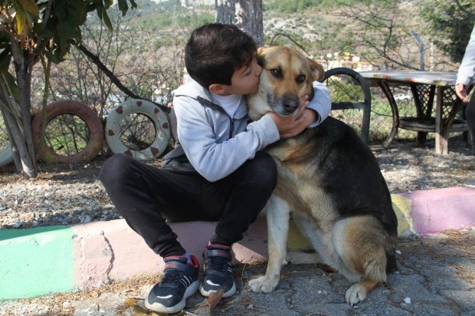 Alanya’da engelli köpek ‘Şirin’ öğrencilerin ilgi odağı oldu