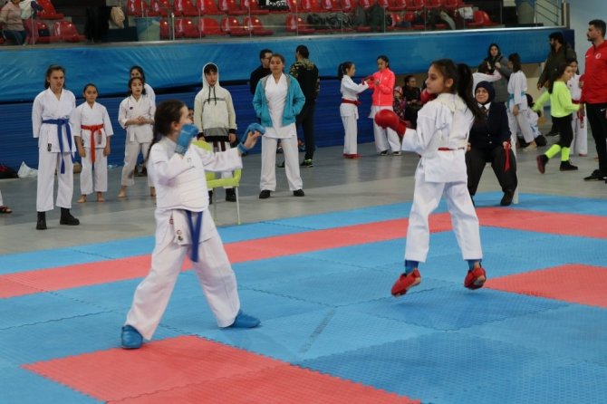 Okullar arası Karate İl Birinciliği müsabakaları tamamlandı
