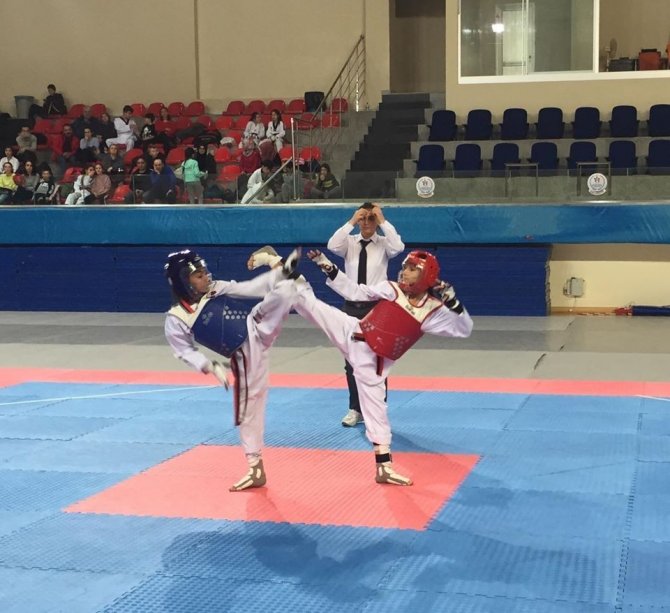 Okullar arası Yıldızlar Taekwondo İl Birinciliği müsabakaları tamamlandı