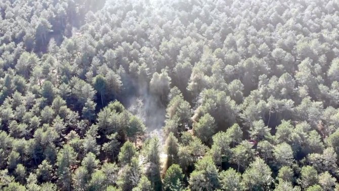 Aydos Ormanı’nda yangının çıktığı alan havadan görüntülendi
