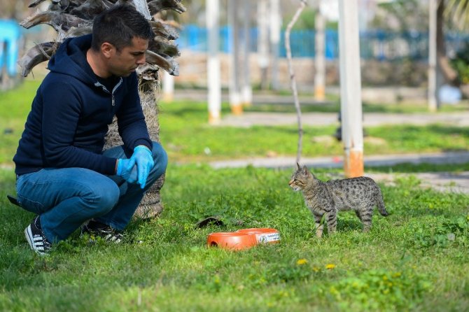 Muratpaşa’dan sokak hayvanlarına mama desteği