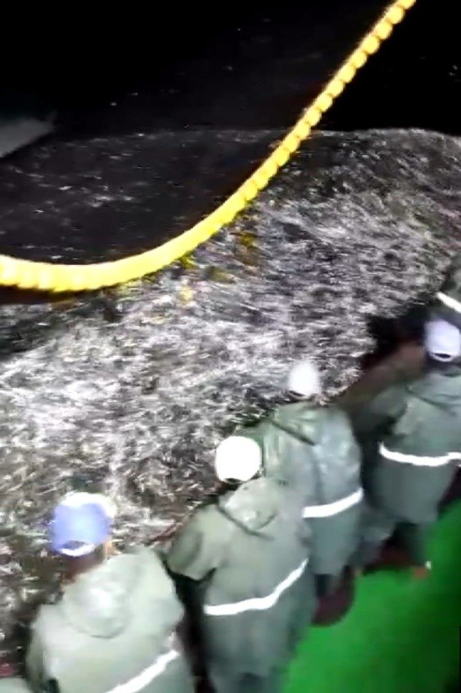 Çanakkale’de 15 ton hamsi yakalandı