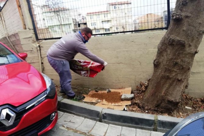 Süleymanpaşa Belediyesi sokak hayvanlarına sahip çıkıyor