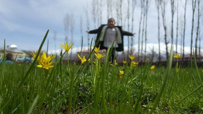 Bitlis’te baharın müjdesi çiçeklerden renk cümbüşü