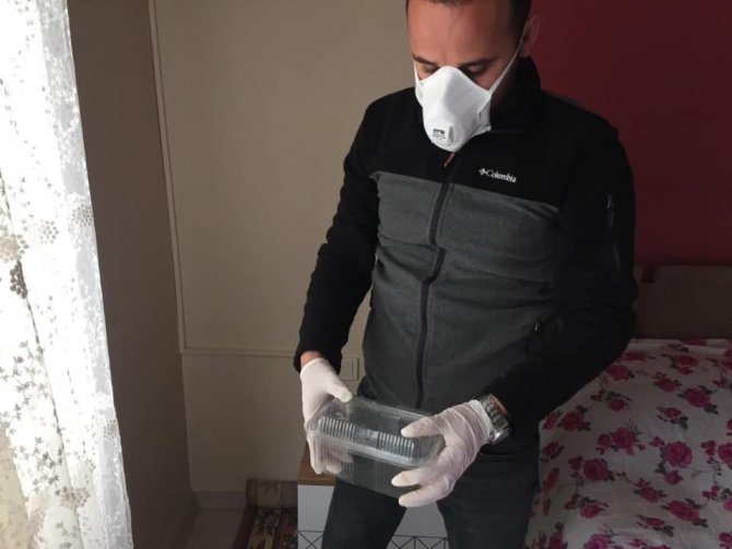 Aydın’da ölü yarasanın bulunduğu ev dezenfekte edildi