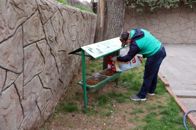 Yozgat’ta yiyecek bulmakta sıkıntı çeken sokak hayvanları unutulmadı