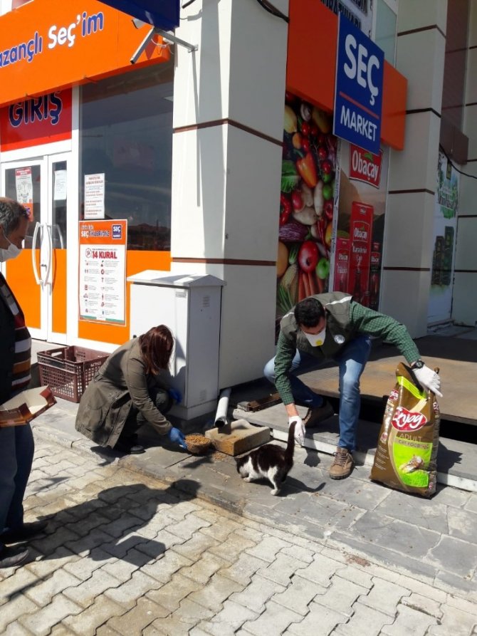 Bitlis’te sokak hayvanlarına yiyecek ve mama desteği