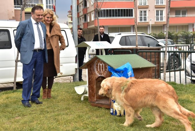 Sokak hayvanlarına Başkan Şahin’den destek geldi