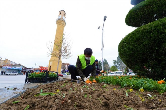 Çorum’da Belediye, 50 bin çiçeği toprakla buluşturuyor
