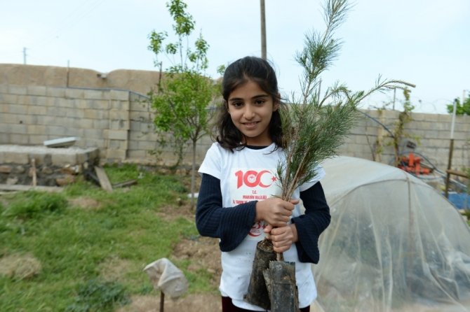 Mardin’de çocuklar 23 Nisan’da 2 bin 20 çam fidesini toprakla buluşturdu