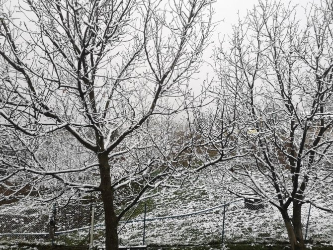 Artvin’de nisan ayında kar yağdı