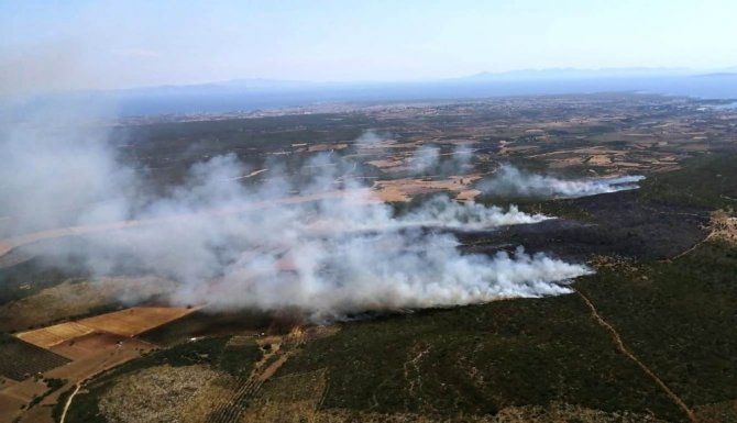 Aydın’da makilik alanda yangın