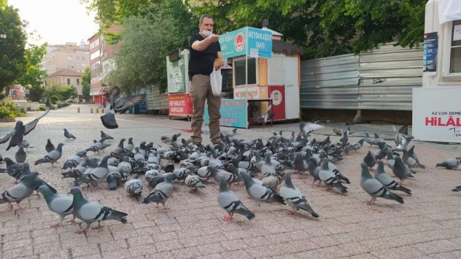 Yiyecek bulmakta güçlük çeken güvercinleri muhabirler yemledi