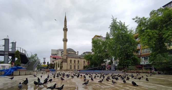 Trabzon’un Akçaabat ilçesinde meydan güvercinlere kaldı