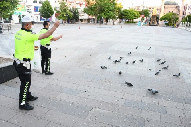 Aç kalan kuşları polis yemledi