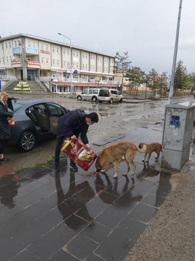 Arpaçay Belediyesi bayramda sokak hayvanlarını unutmadı