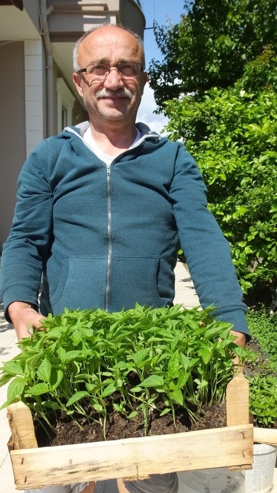 Burhaniyeli vatandaş bahçesinde ürettiği sebze fidelerini komşularına dağıtyor
