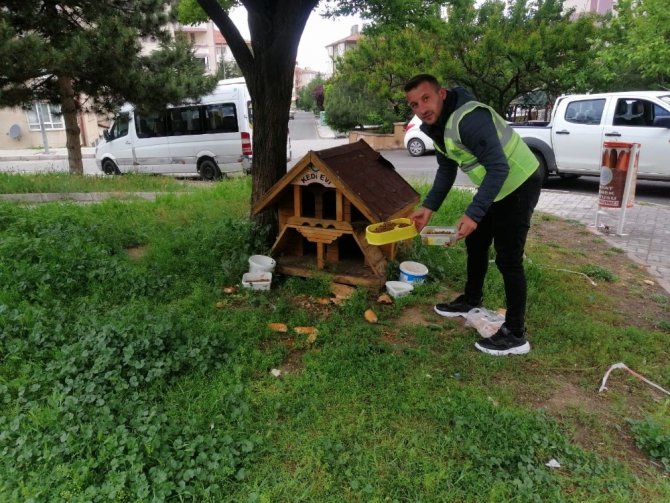 Nevşehir’de sokak hayvanları unutulmadı