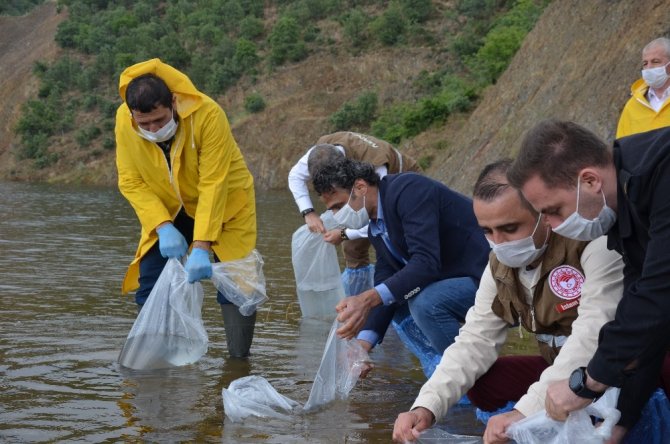 Demirci’de 9 bin balık yavrusu suyla buluştu