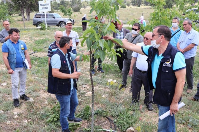 Mersin’de vatandaşlara fidan ve ağaç bakımı eğitimi