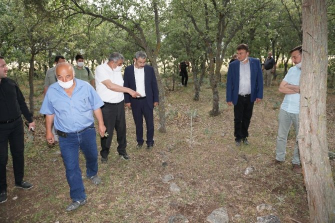Yunanların 99 yıl önce yakarak katlettiği 83 Türkün mezar yerleri bulundu