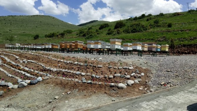 Erzurum’da bir ilk olan“DAP Bal Ormanı”nın açılışı Şenkaya’da yapıldı