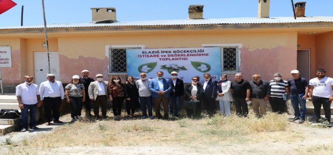 Elazığ’da "İpekböceği Yetiştiriciliği" projesi