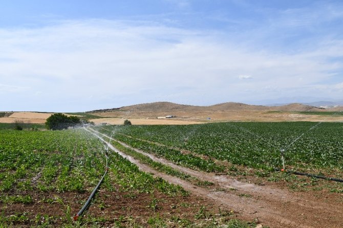 Elazığ’da 114 bin 980 dekar tarım arazisi sulanmaya başladı