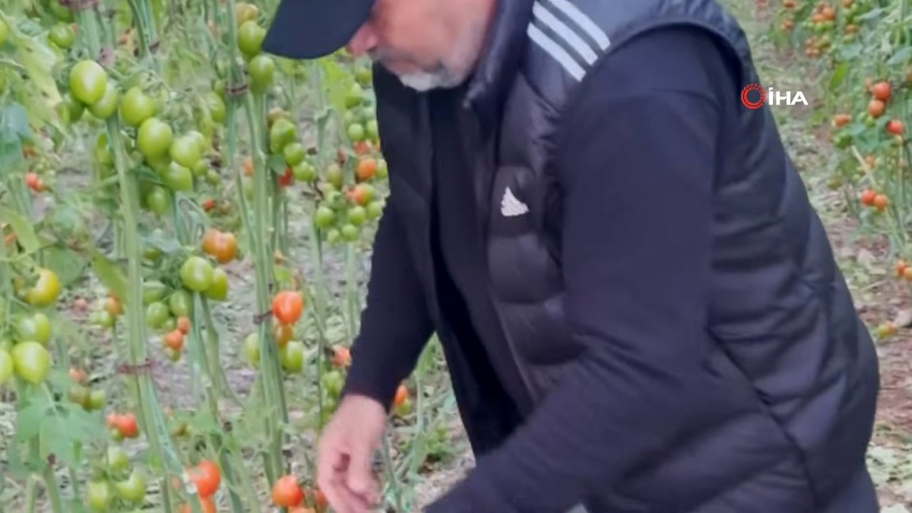 Fanatik Üreticinin ‘Kante' Sevgisi : Adını Kasalara Yazdırdı