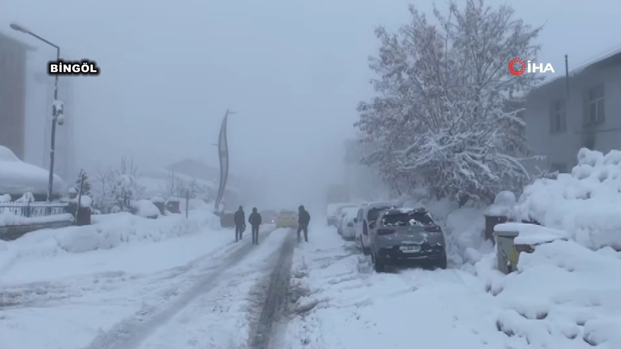 Karlıova’da 40 Gündür Kar Durmuyor: İlçe Kara Gömüldü!